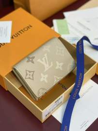 Picture of Louis Vuitton Wallets _SKUfw240692843fw
